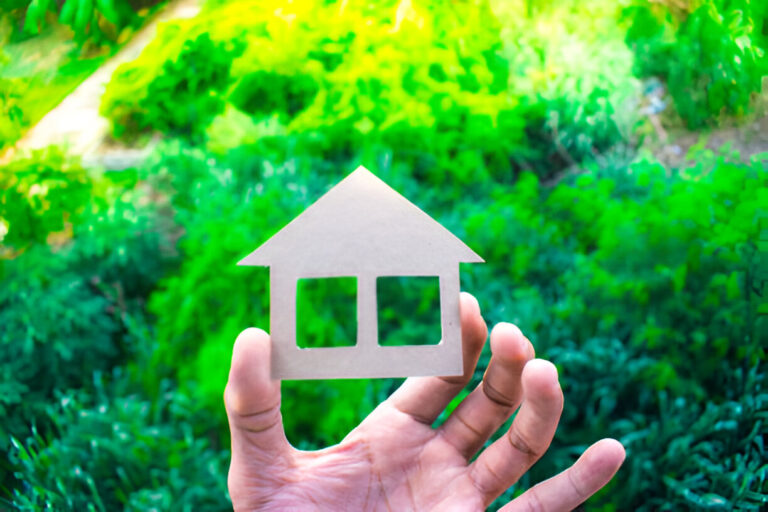 The Eco-Conscious Homeowner: A Guide to Sustainable Living